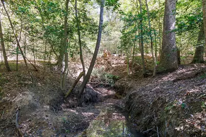 Tbd Peach Road, Gilmer, TX 75644 - Photo 10
