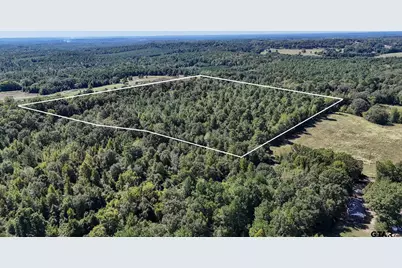 Tbd Peach Road, Gilmer, TX 75644 - Photo 20