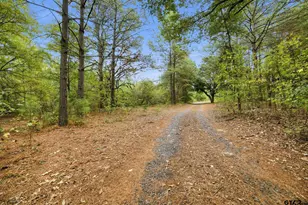 25602 Cr 462, Mineola, TX 75773 - Photo 16