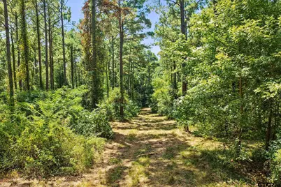 Tbd County Road 1240, Pittsburg, TX 75686 - Photo 12