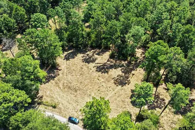 Tbd County Road 1240, Pittsburg, TX 75686 - Photo 6
