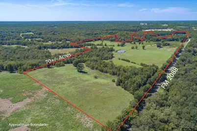 Tbd Fm 2088, Winnsboro, TX 75494 - Photo 2