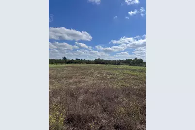 Tbd Fm 2088, Winnsboro, TX 75494 - Photo 10