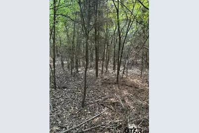 2699 Poppy, Gilmer, TX 75644 - Photo 2