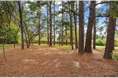 11160 Marsh Wren Circle, Flint, TX 75762 - Photo 46