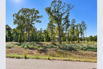 15923 Aniston Ln Lot 9, Flint, TX 75762 - Photo 18