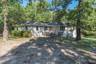 20623 Bay Shore Dr, Flint, TX 75762 - Photo 1