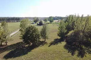 2930 FM 49, Mineola, TX 75773 - Photo 6