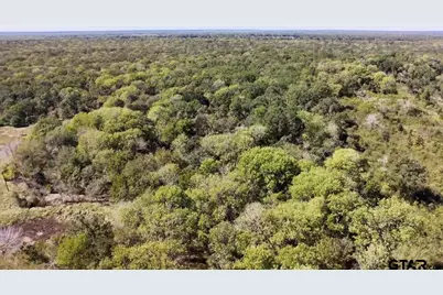 000 An County Rd 493, Cayuga, TX 75832 - Photo 12