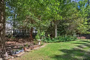 150 Pine Needle Glen, Holly Lake Ranch, TX 75765 - Photo 38