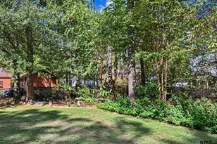 150 Pine Needle Glen, Holly Lake Ranch, TX 75765 - Photo 40