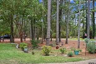 150 Pine Needle Glen, Holly Lake Ranch, TX 75765 - Photo 36