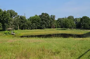 893 FM 1519, Pittsburg, TX 75686 - Photo 48