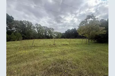 County Road 2147, Troup, TX 75789 - Photo 6