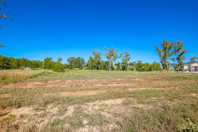 12144 Cotton St, Flint, TX 75762 - Photo 2
