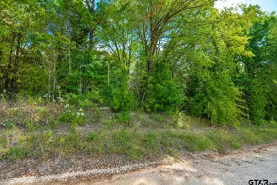 Lot 2 Cr 3424, Bullard, TX 75757 - Photo 2