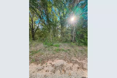 Lot 3 Cr 3424, Bullard, TX 75757 - Photo 2
