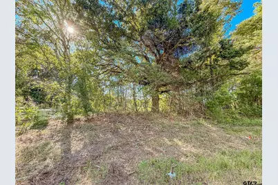 Lot 7 Fm 855, Bullard, TX 75757 - Photo 2