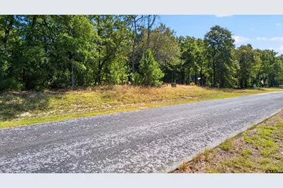 0 Safari Shores Drive, LaRue, TX 75770 - Photo 10