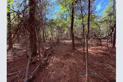 Tbd Meandering Way, Flint, TX 75762 - Photo 8