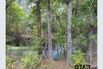 Tbd Fm 2709, Eustace, TX 75124 - Photo 6