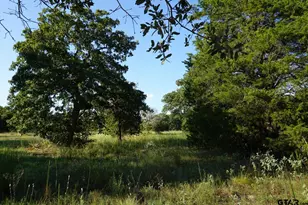 12641 Private Rd 5104, Athens, TX 75751 - Photo 1