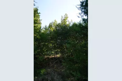 12641 Private Rd 5104, Athens, TX 75751 - Photo 30