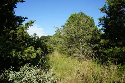 12641 Private Rd 5104, Athens, TX 75751 - Photo 8