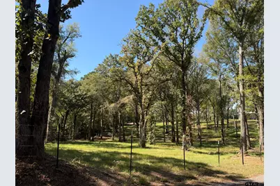 22080 Cr 4117, Frankston, TX 75763 - Photo 46
