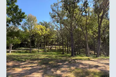 22080 Cr 4117, Frankston, TX 75763 - Photo 42