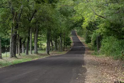 Tbd Cr 2786 Lot 1, Mineola, TX 75773 - Photo 12