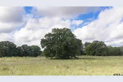 Tbd Cr 2786 Lot 1, Mineola, TX 75773 - Photo 44