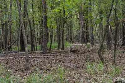 Tbd Cr 2786 Lot 1, Mineola, TX 75773 - Photo 38