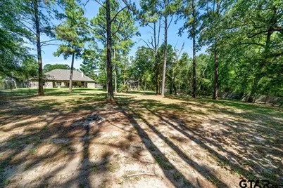21375 Neely Dr, Flint, TX 75762 - Photo 38