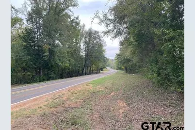 Tbd Fm 315, Palestine, TX 75803 - Photo 16