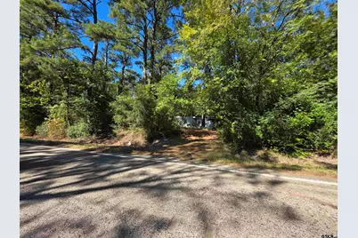 0 Fm 3204, Brownsboro, TX 75756 - Photo 6
