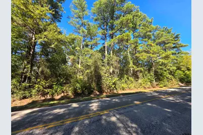 0 Fm 3204, Brownsboro, TX 75756 - Photo 2
