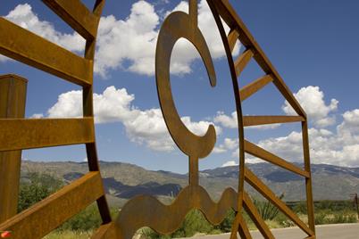 8371 Tumbling Y Ranch Place #L-150, Vail, AZ 85641 - Photo 1
