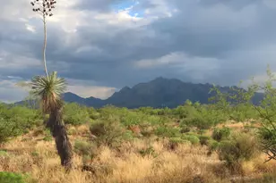 20 Ac B Lee Ln, Portal, AZ 85632 - Photo 1