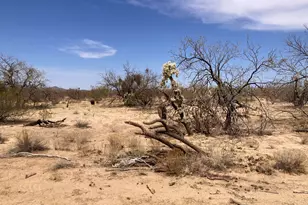 16420 Cowboy Pl, Tucson, AZ 85736 - Photo 1