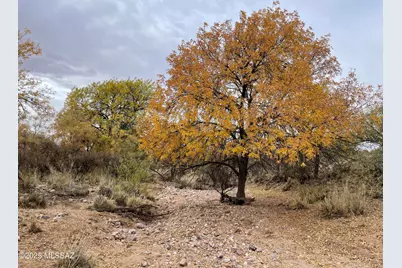 12 Acres E Camino Verde #-, Pearce, AZ 85625 - Photo 1