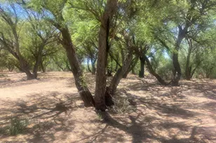 1015 Patton St, Saint David, AZ 85630 - Photo 1