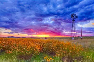 40 Omega Ln, Elgin, AZ 85611 - Photo 1