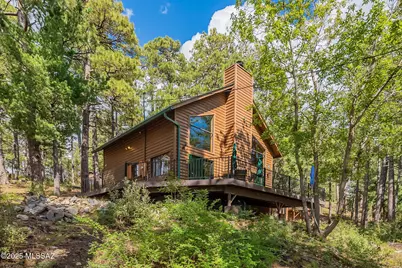 12042 N Soldiers Camp, Mt. Lemmon, AZ 85619 - Photo 1