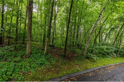 1 Michael Drive, Plymouth, CT 06786 - Photo 2