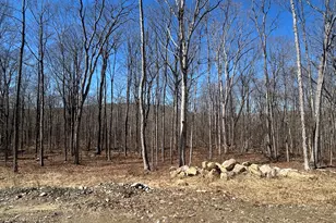 12 Chestnut Ln, Washington, CT 06777 - Photo 36