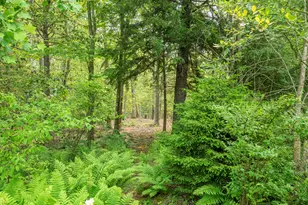 South Salem Rd, Ridgefield, CT 06877 - Photo 1