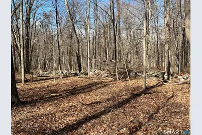 Spooner Hill Road, Kent, CT 06757 - Photo 6