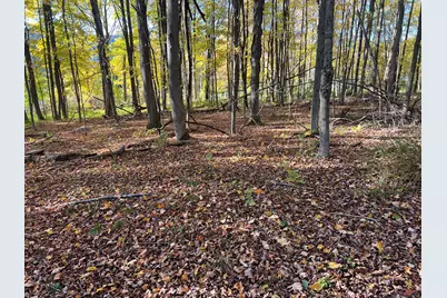 Spooner Hill Road, Kent, CT 06757 - Photo 8