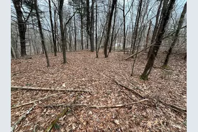 439 Washington Road, Woodbury, CT 06798 - Photo 32